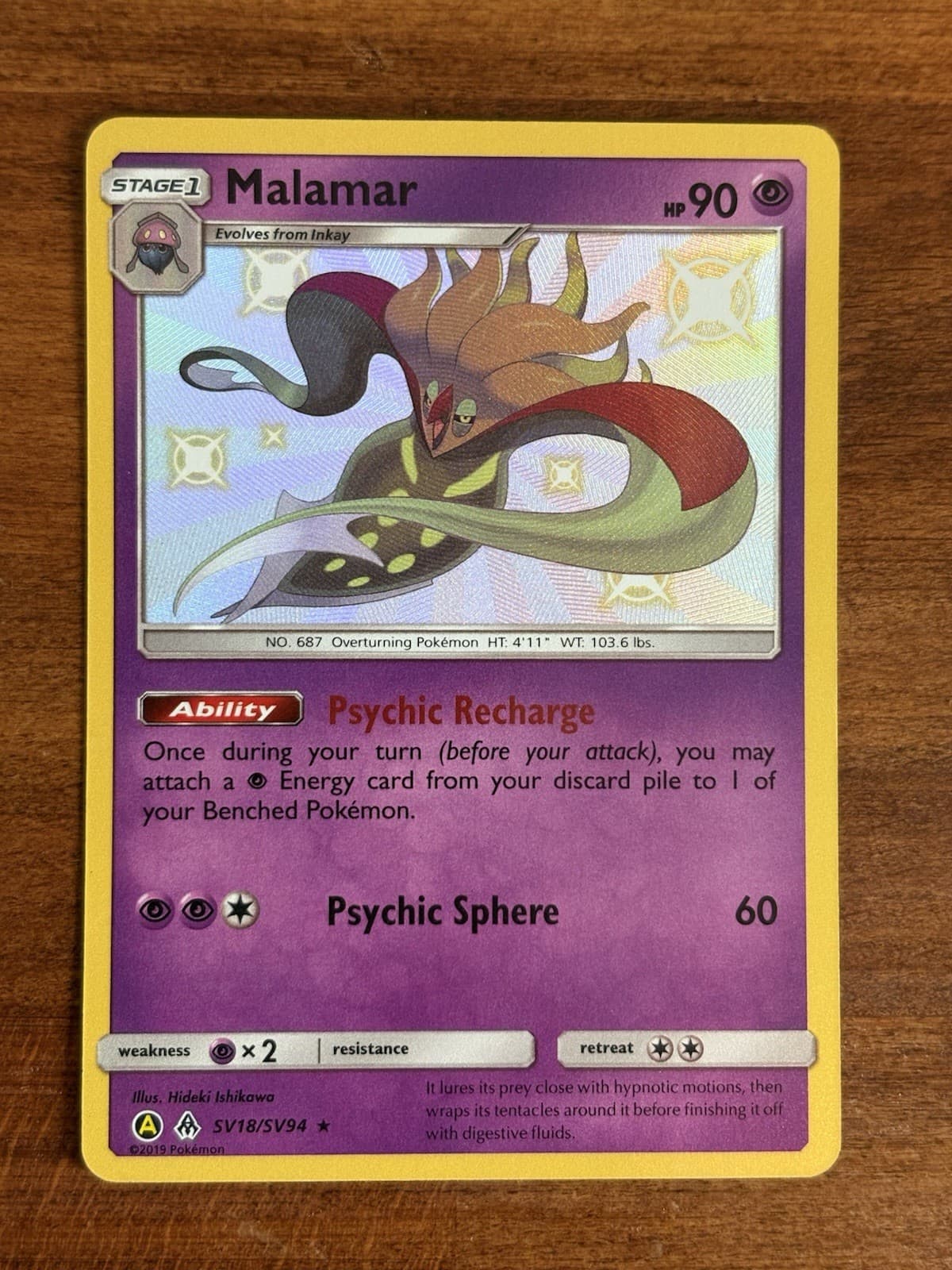 Malamar 2019 Sun