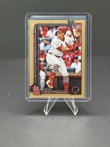 #203