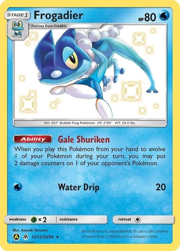 Frogadier 2019 Sun
