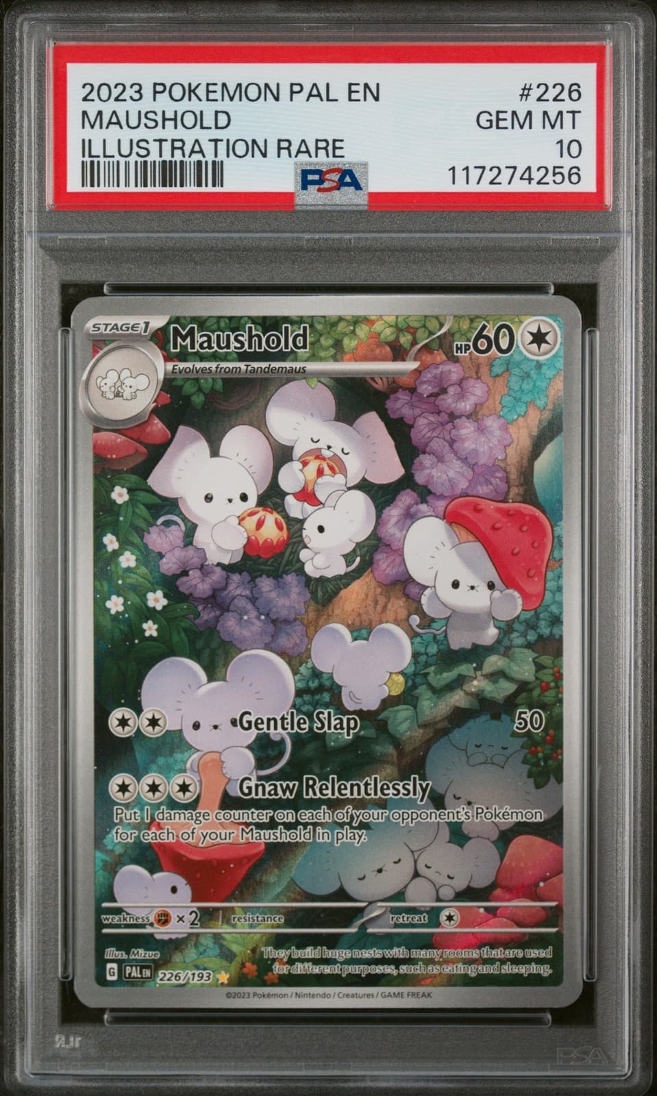 Maushold trading card