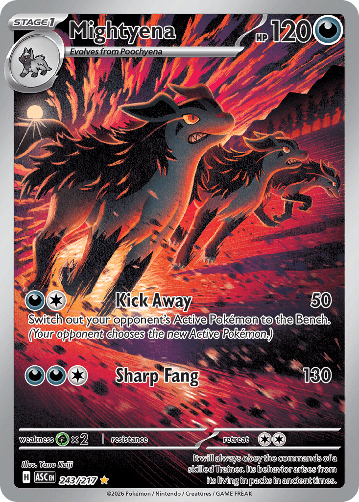#243
