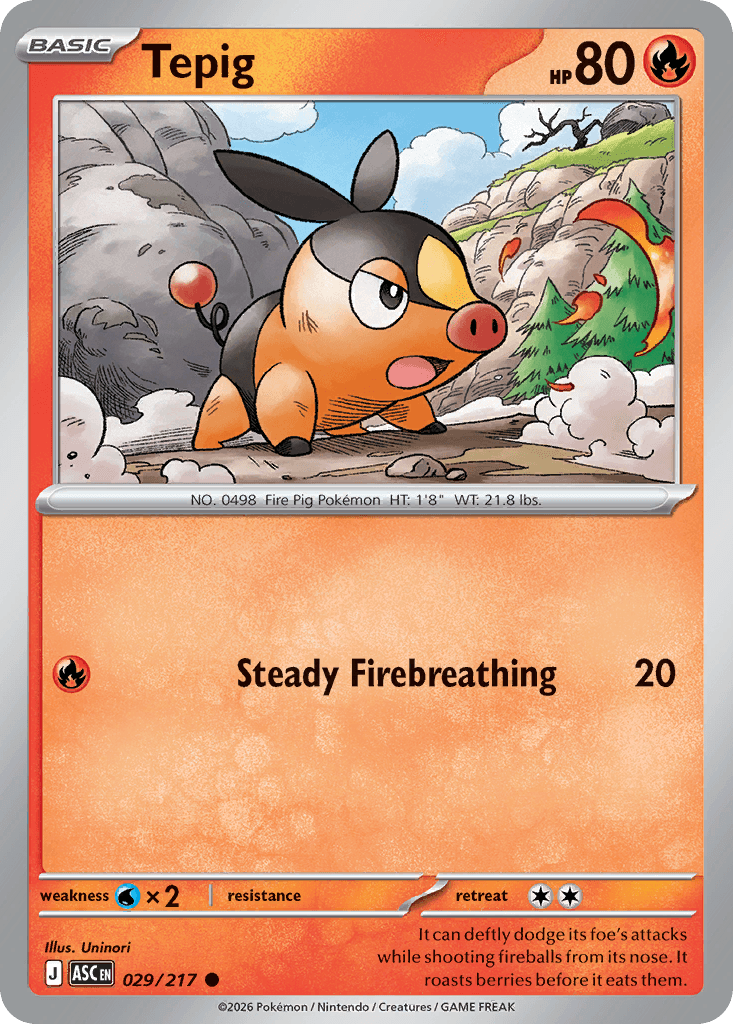 Tepig trading card