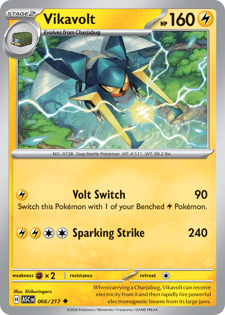 #66