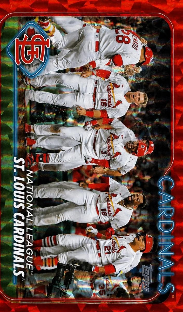 Minnesota Twins trading card