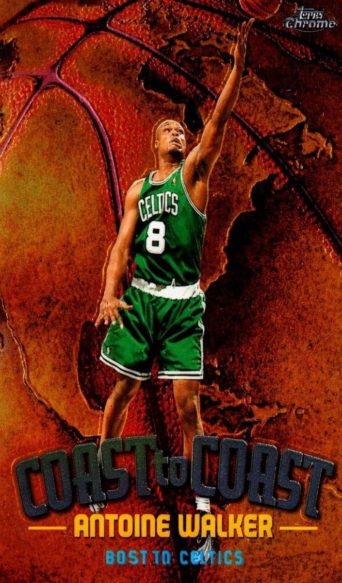 Antoine Walker #cc6