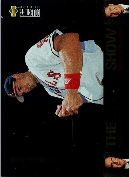 Tim Salmon #13