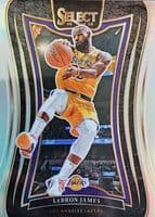 LeBron James #310
