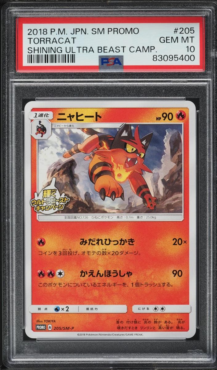 Torracat #205