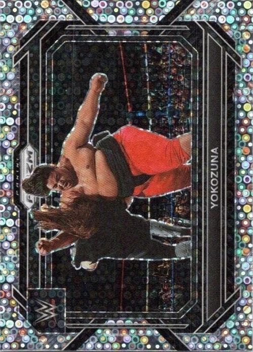 Yokozuna #63