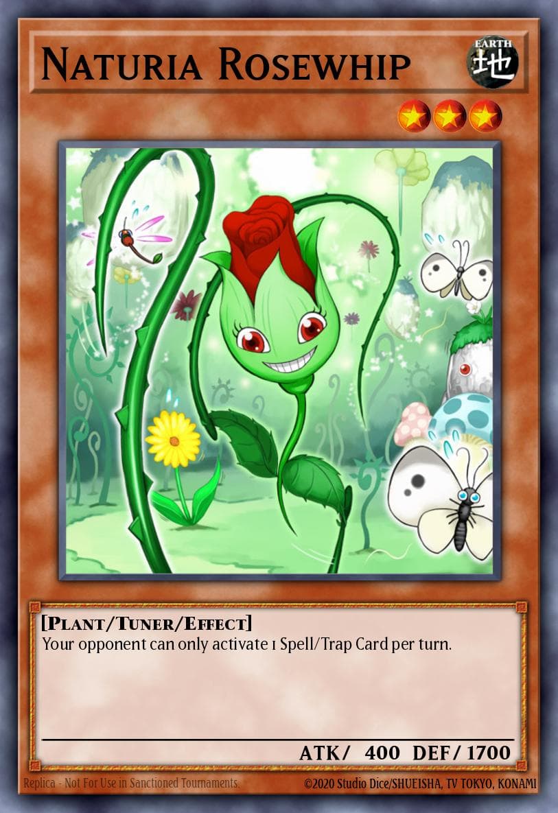Naturia Rosewhip #DT02-EN071