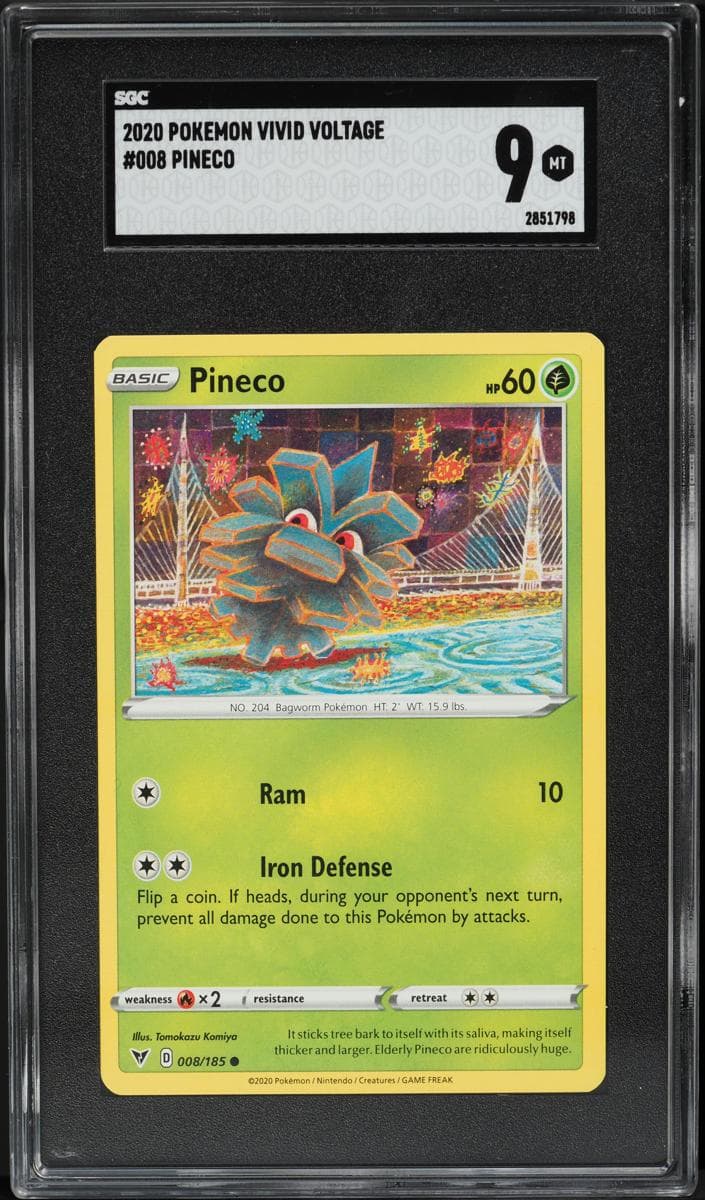 Pineco #8