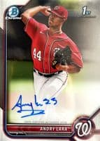 Andry Lara trading card