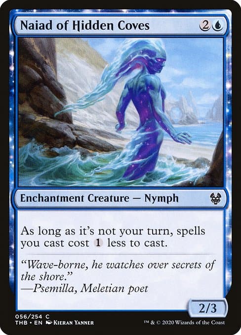 #333