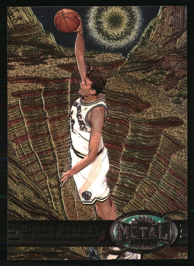 Shawn Bradley #53