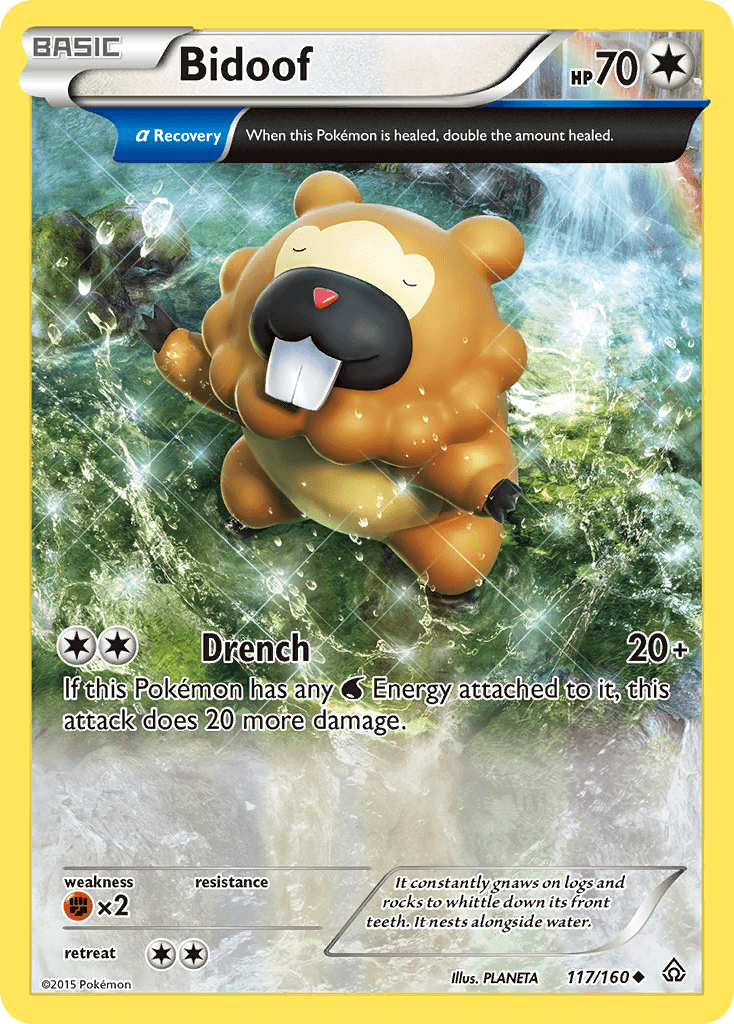 Bidoof 2013 Pokemon