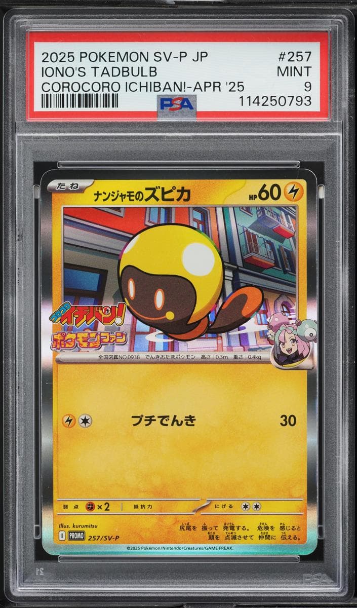 Iono's Tadbulb #257