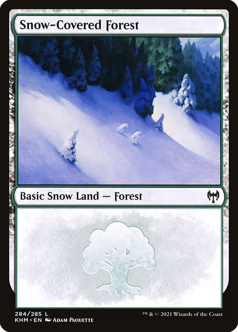 Snow-Covered Forest 2019 Magic: The Gathering Modern Horizons