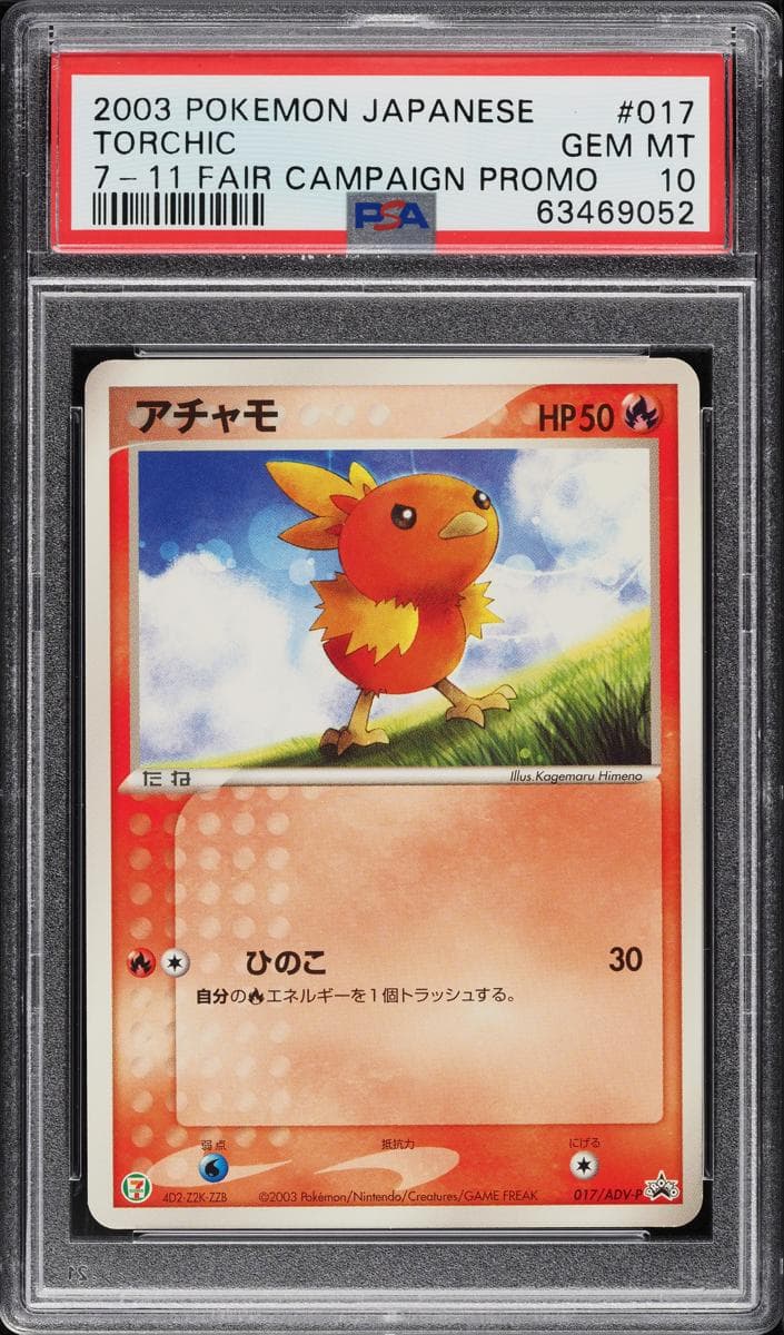 Torchic #17