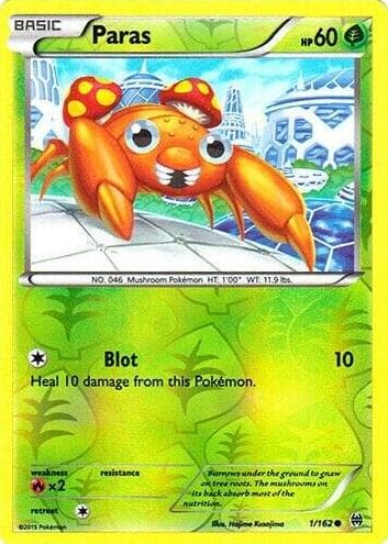 Paras #1