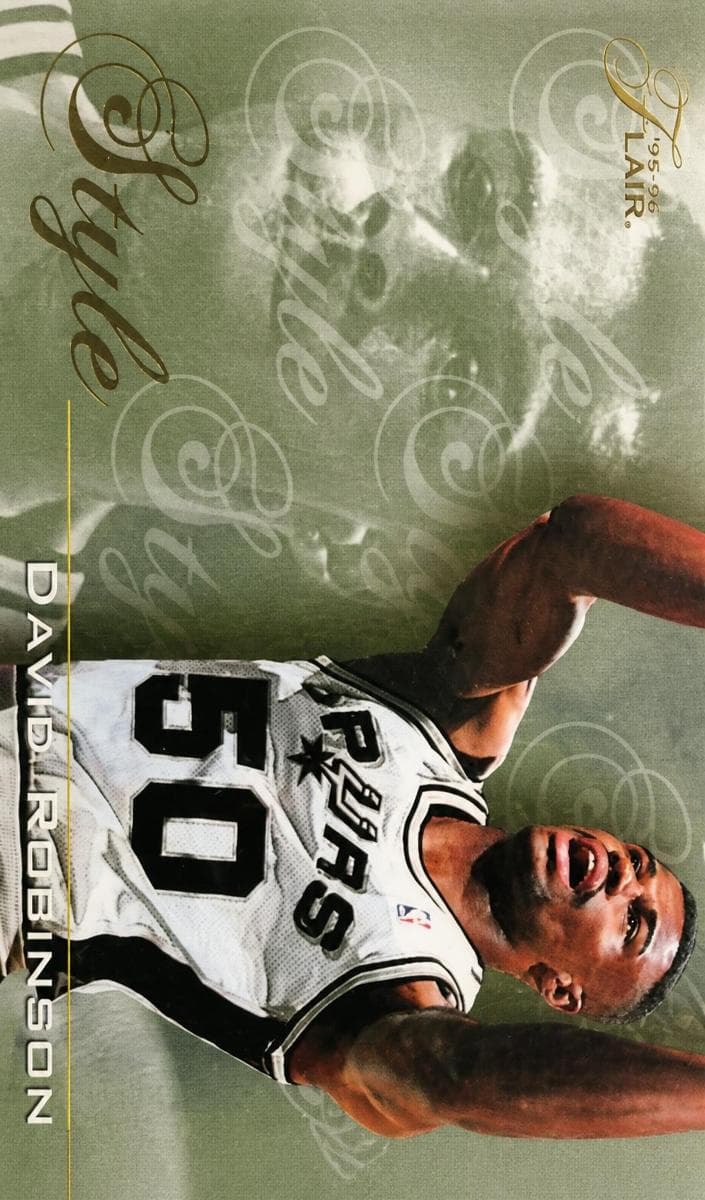 David Robinson 1995 unknown Flair