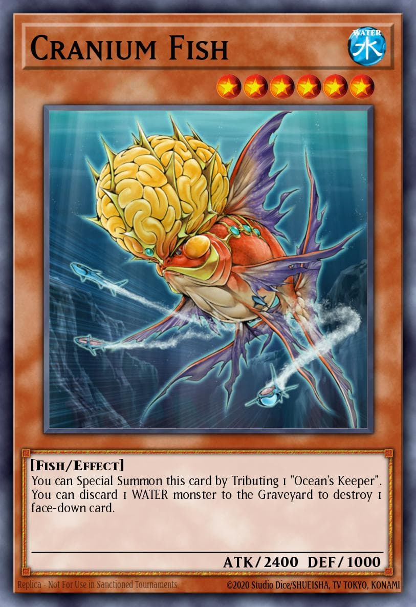 Cranium Fish #TAEV-EN083