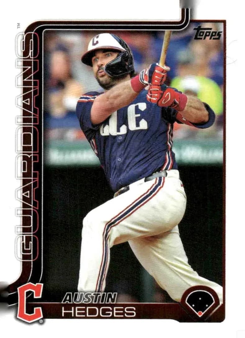 Austin Hedges trading card