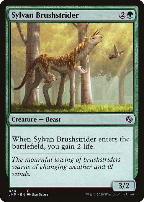 #144