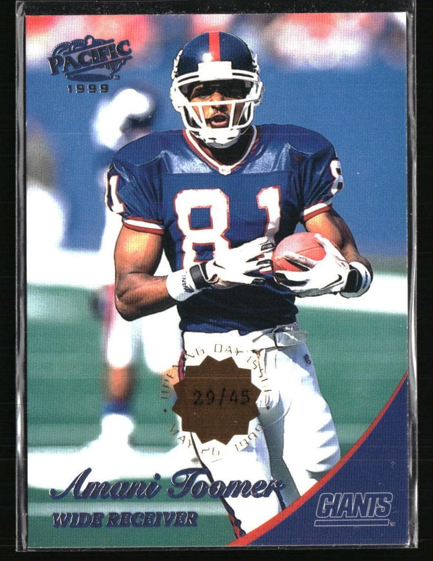 Amani Toomer #273