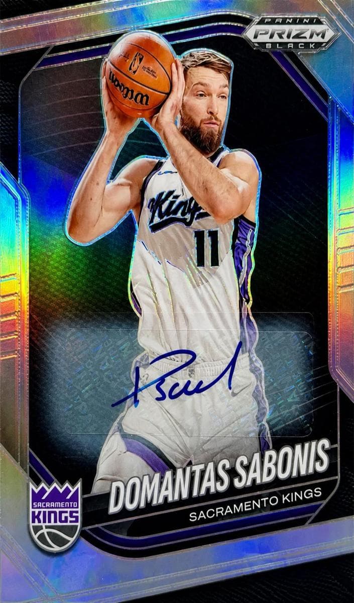 Domantas Sabonis #109