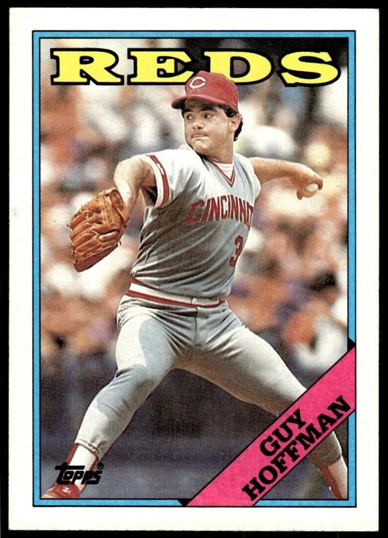 Guy Hoffman #496