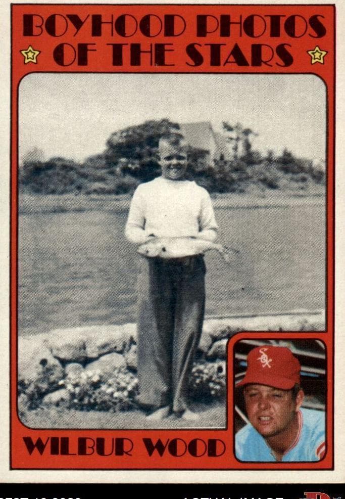 Wilbur Wood #342