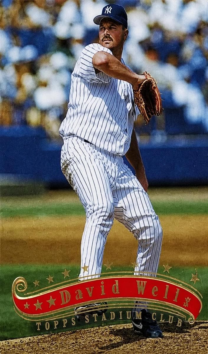 David Wells #338