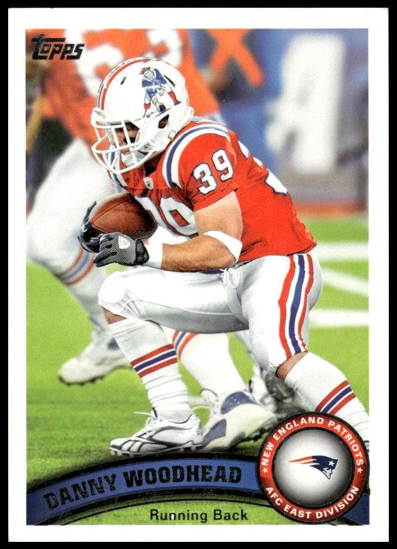 Danny Woodhead #231