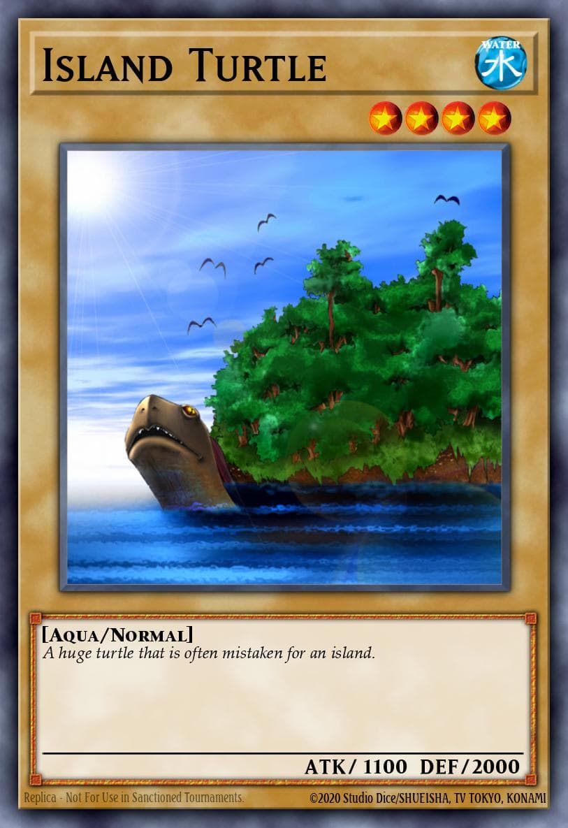 Island Turtle #SDJ-005