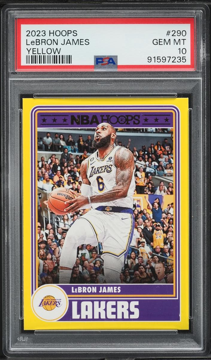 LeBron James #290