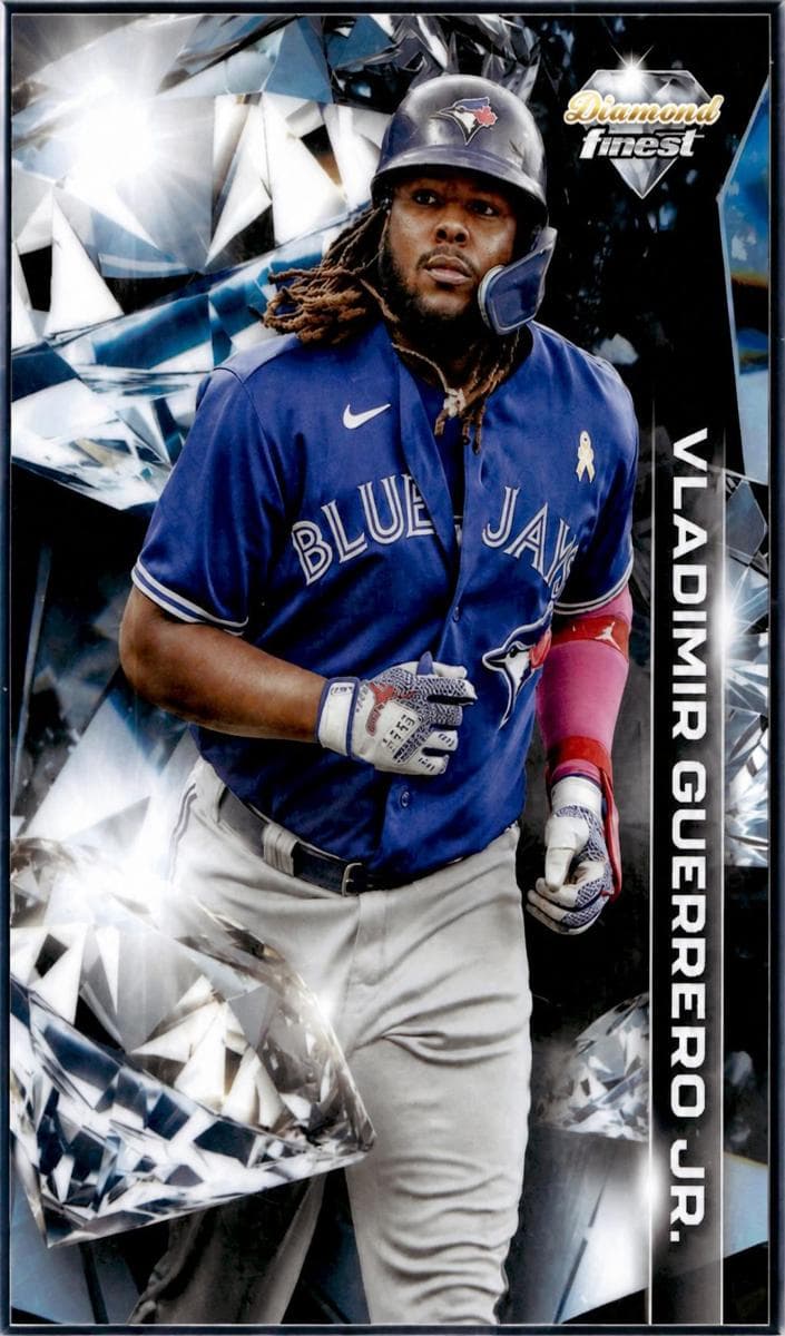 Vladimir Guerrero Jr. #DF-10