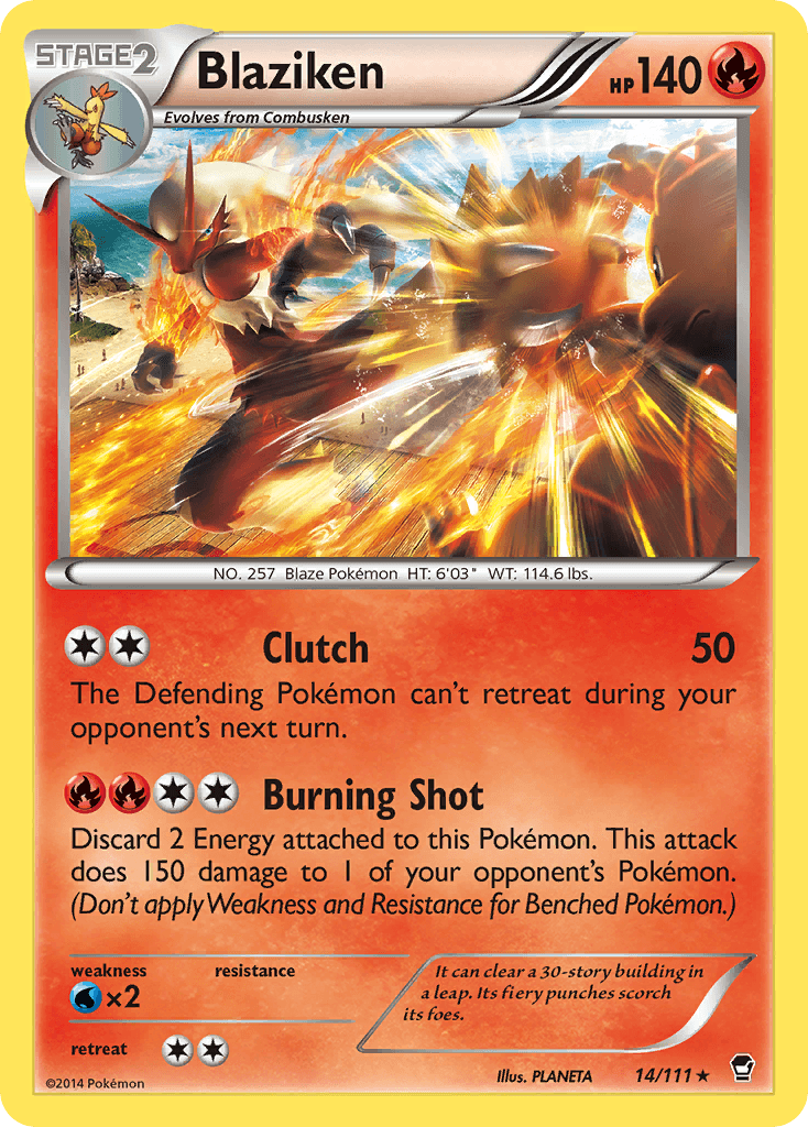 Blaziken 2014 Pokemon Furious Fists