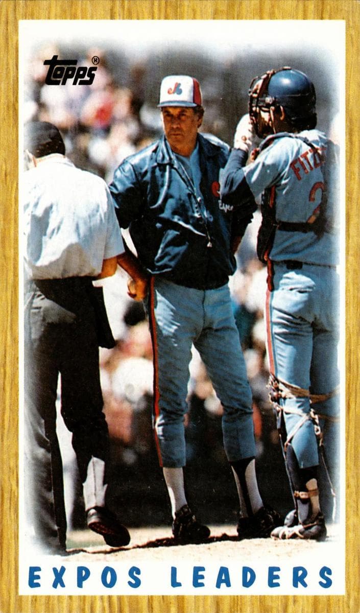 Expos Leaders #381