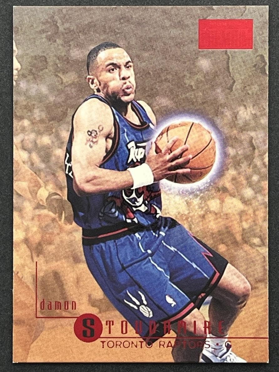 Damon Stoudamire 1996 fleer SkyBox Premium