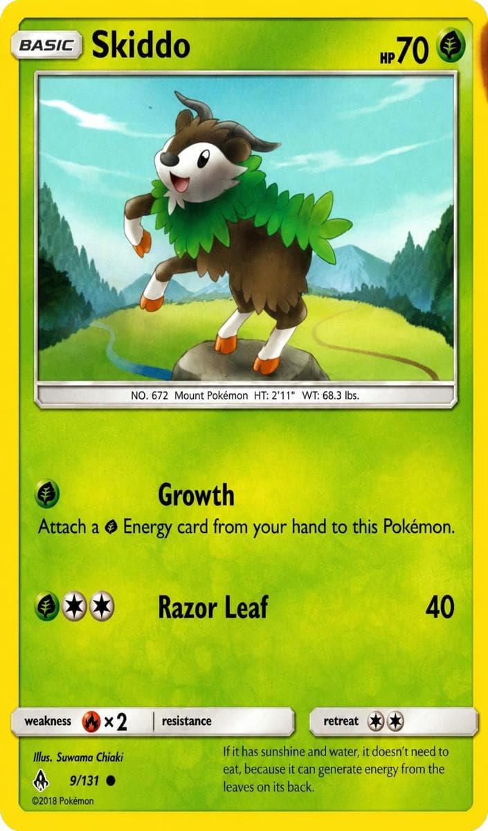 Skiddo #9