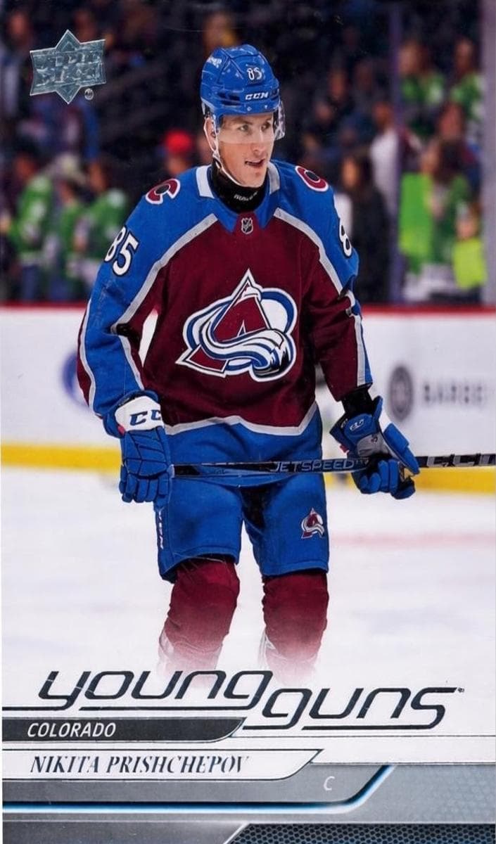 Nikita Prishchepov #462