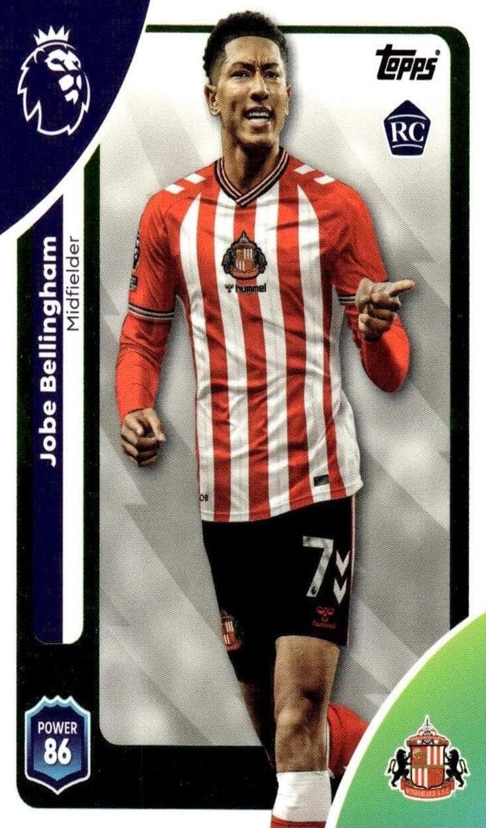 Joelinton #233