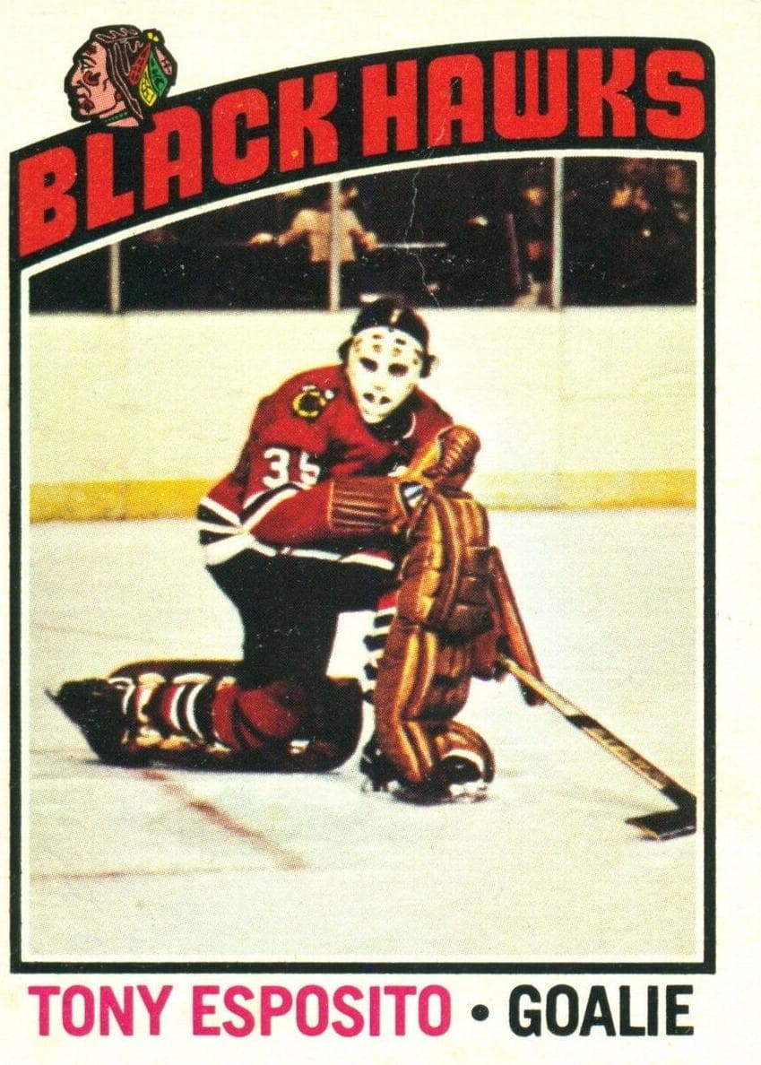 Tony Esposito 1976 topps O-Pee-Chee