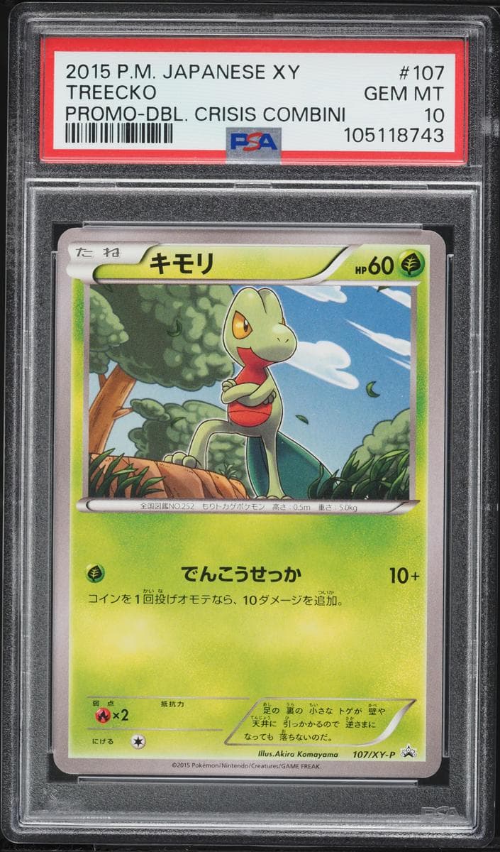 Treecko #107
