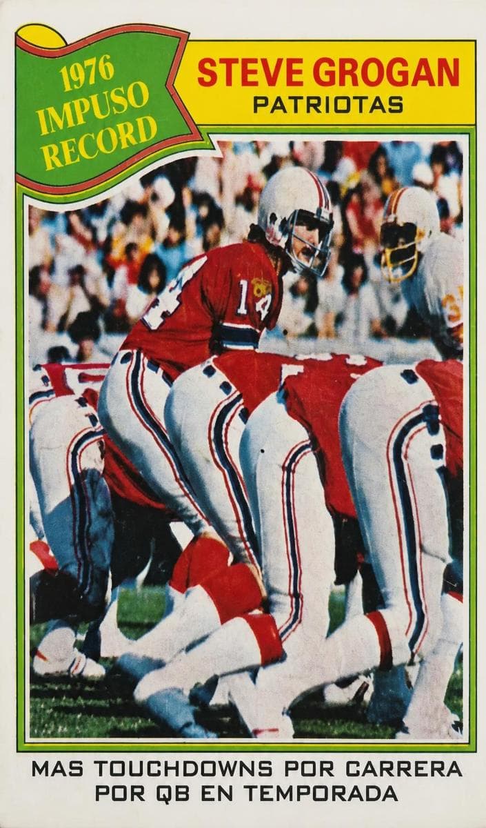 Steve Grogan #451