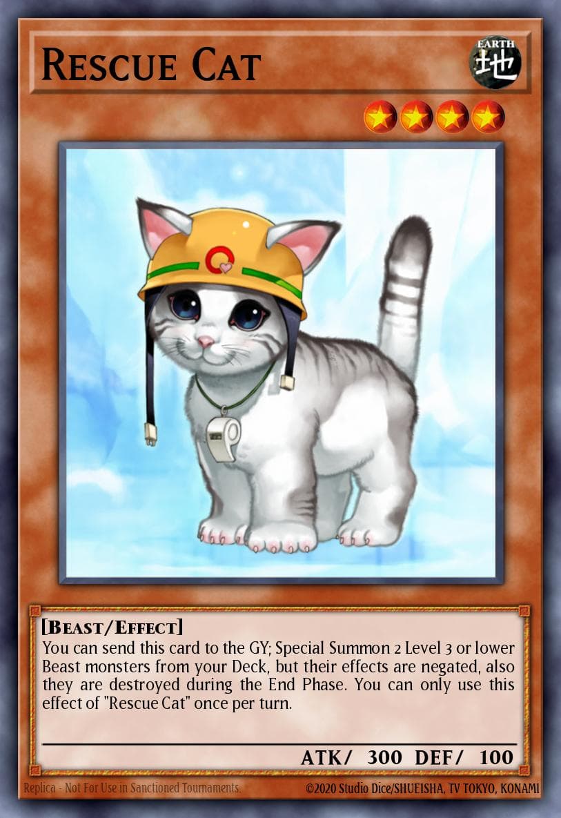 Rescue Cat #CP05-EN015