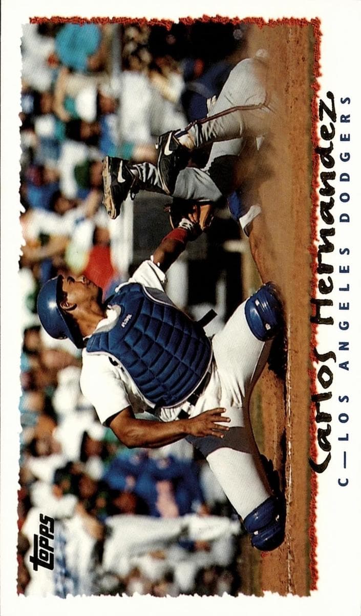 Carlos Hernandez #94