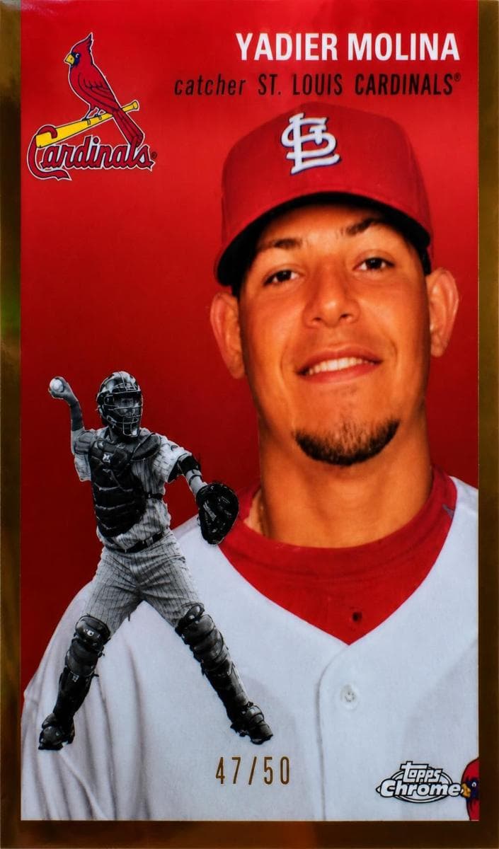 Yadier Molina #499