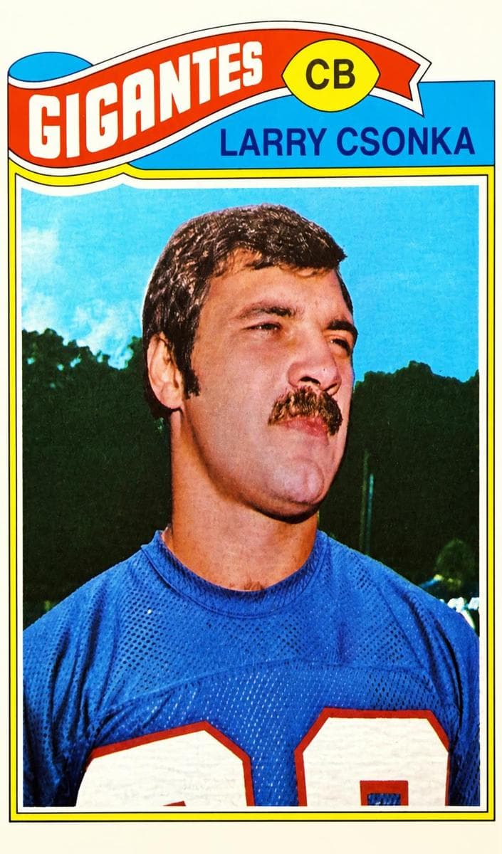 Larry Csonka #505