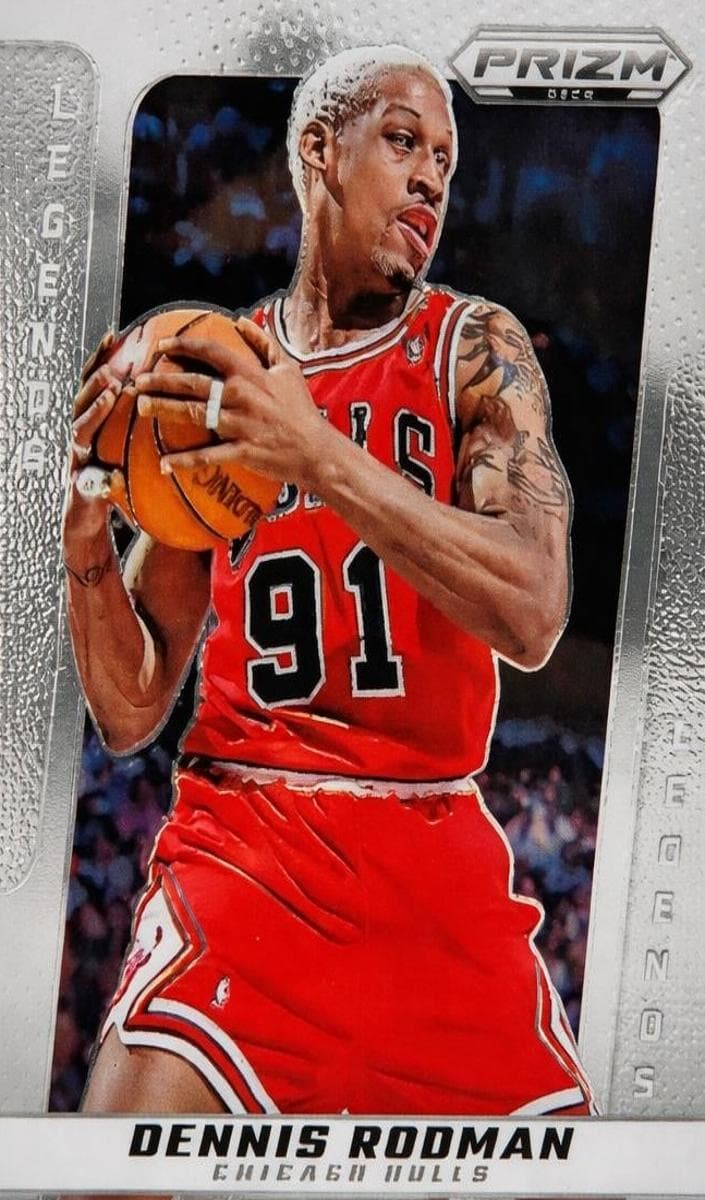Dennis Rodman #220